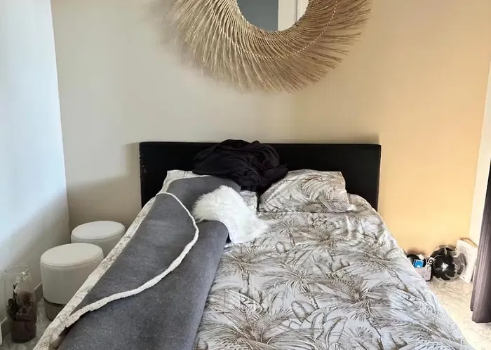 2 Pièces Rdj Proche